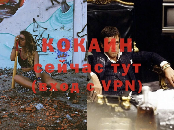 шишки Аркадак