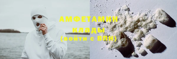 шишки Аркадак