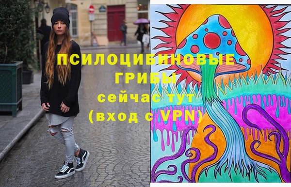 гидра Армянск
