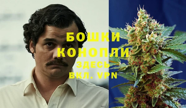 гидра Армянск