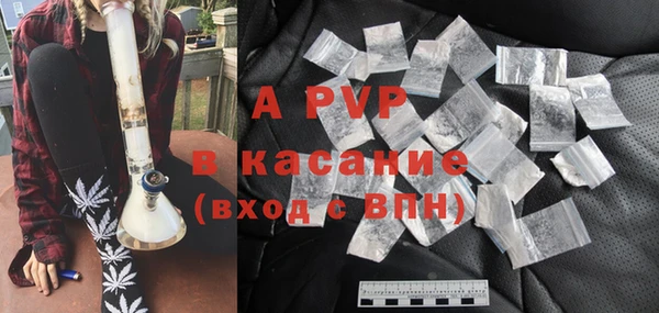 шишки Аркадак