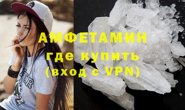 шишки Аркадак