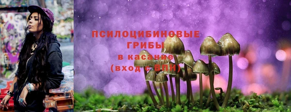 герыч Арсеньев