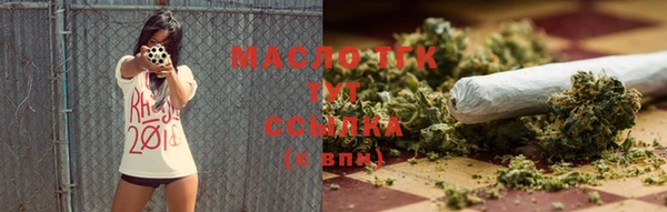 шишки Аркадак