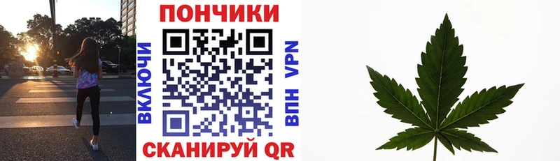 Канабис конопля  Боготол 